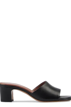 Ava Mule 50