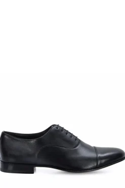 Darian Oxford Shoes