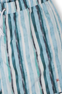 Green Stripe Swim Shorts