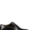 Greggo Lace-Up Shoes