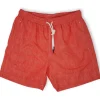 Ibiza Swim Shorts