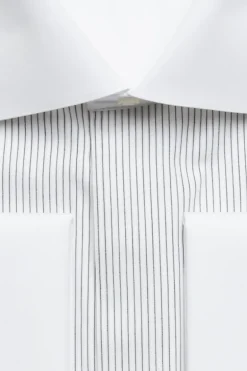 Pleated Formal Shirt