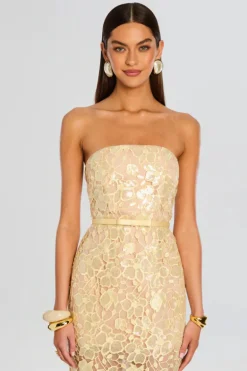 Rowena Lace Dress