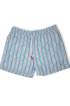 Stripe Swim Shorts